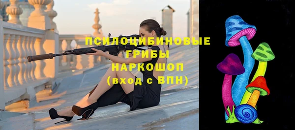 дживик Нягань