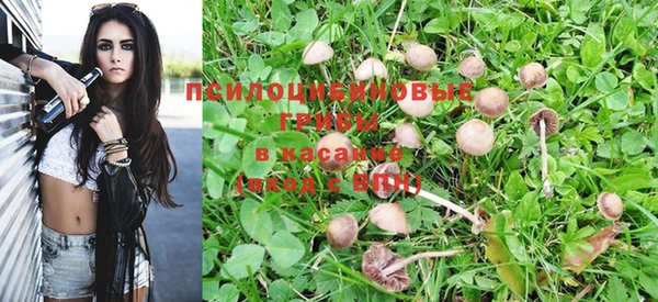 меф Армянск