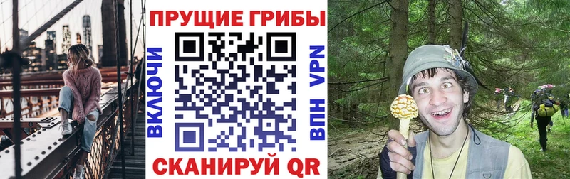 hydra ссылка  закладки  Минусинск  Псилоцибиновые грибы Cubensis 